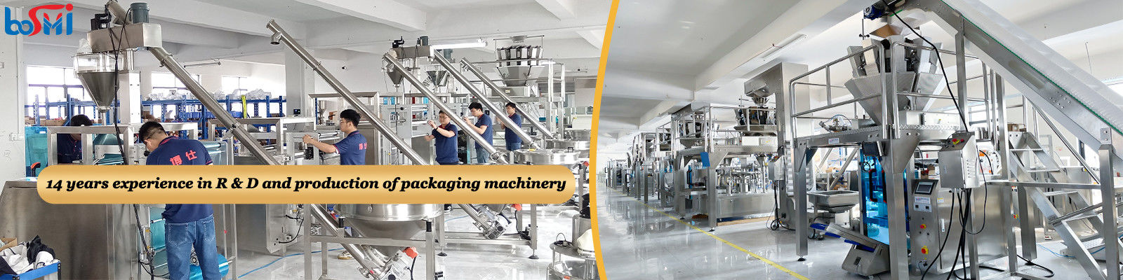 Powder Packing Machine